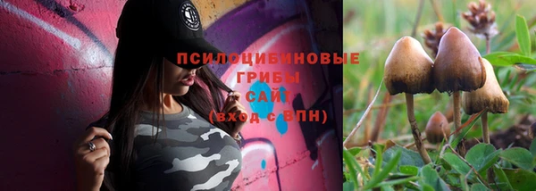 метадон Ельня