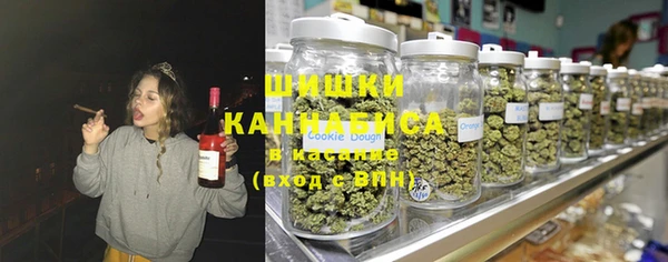 соль ск Чекалин
