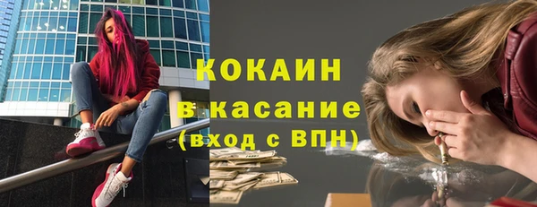 метадон Ельня